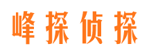 老城私人侦探